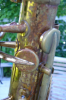 upload_2015-6-6_14-54-37.png