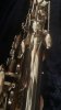IMG_4226.jpeg