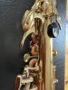 IMG_2683.jpeg