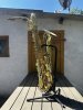 IMG_4992 2.jpeg