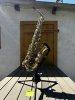 IMG_4966 2.jpeg