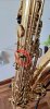 Screenshot_20261001_221121_Gallery.jpg