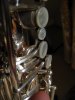 DSCN7351.JPG