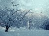 winterlandsch.jpg