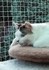 IMG_20180717_211650.jpg