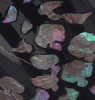 IMG_3553 Kopie.gif