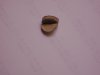 DSC00027.JPG