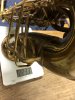 Buescher Big-B Alto Bj42.JPEG