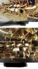223D54D5-D20A-48FF-824B-53834B74380B.jpeg