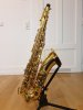 20201220_123747.jpg