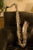 DSC01102.jpg
