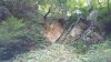 20160811_160036_resized.jpg