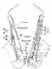 tablature-sax.jpg
