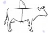 20221211_210629.jpg