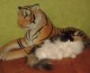 Corry und Tiger.jpg