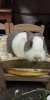 upload_2023-10-4_17-44-17.png