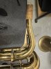 IMG_6383.jpeg