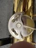 IMG_6384.jpeg