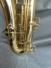 M. Tenor 5.jpg