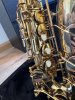IMG_6186.jpeg