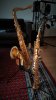20191117_101501.jpg