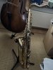 IMG_1317.jpeg