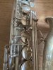 IMG_8996.jpeg