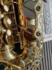 IMG_9060.jpeg