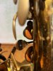 IMG_6386.jpeg