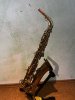 IMG_6375.jpeg