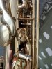IMG_8403.jpeg