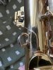 IMG_8395.jpeg