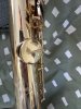 IMG_8389.jpeg