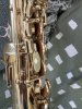 IMG_8388.jpeg