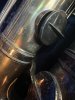 IMG_5563.jpeg