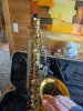 PXL_20260609_095045804.jpg