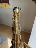 IMG_3045.jpeg