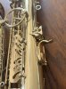 IMG_1686.jpeg