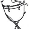 Pauke