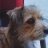 tilo_b